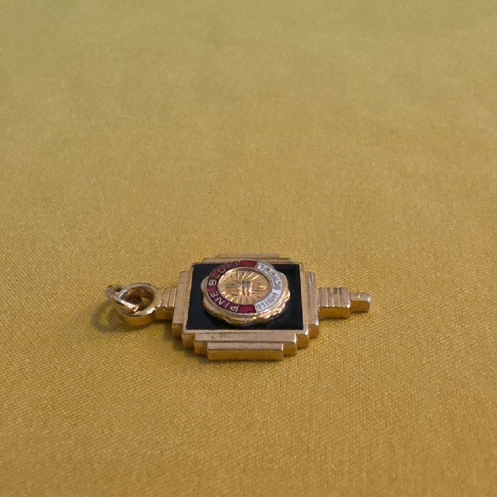 Pine Bluff High School Vintage Charm Pendant in Black and Gold Tone (Unmarked) - Picture 3 of 5